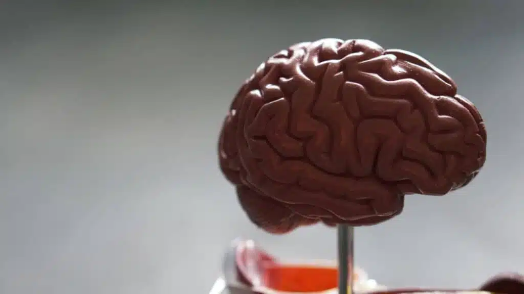 Southlake Brain Injury Lawyer